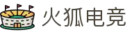 火狐电竞 - 点燃电竞激情，赛出体育精神